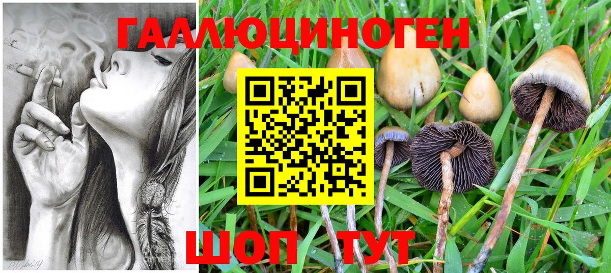 Галлюциногенные грибы Magic Shrooms  Вход с VPN  Калуга 